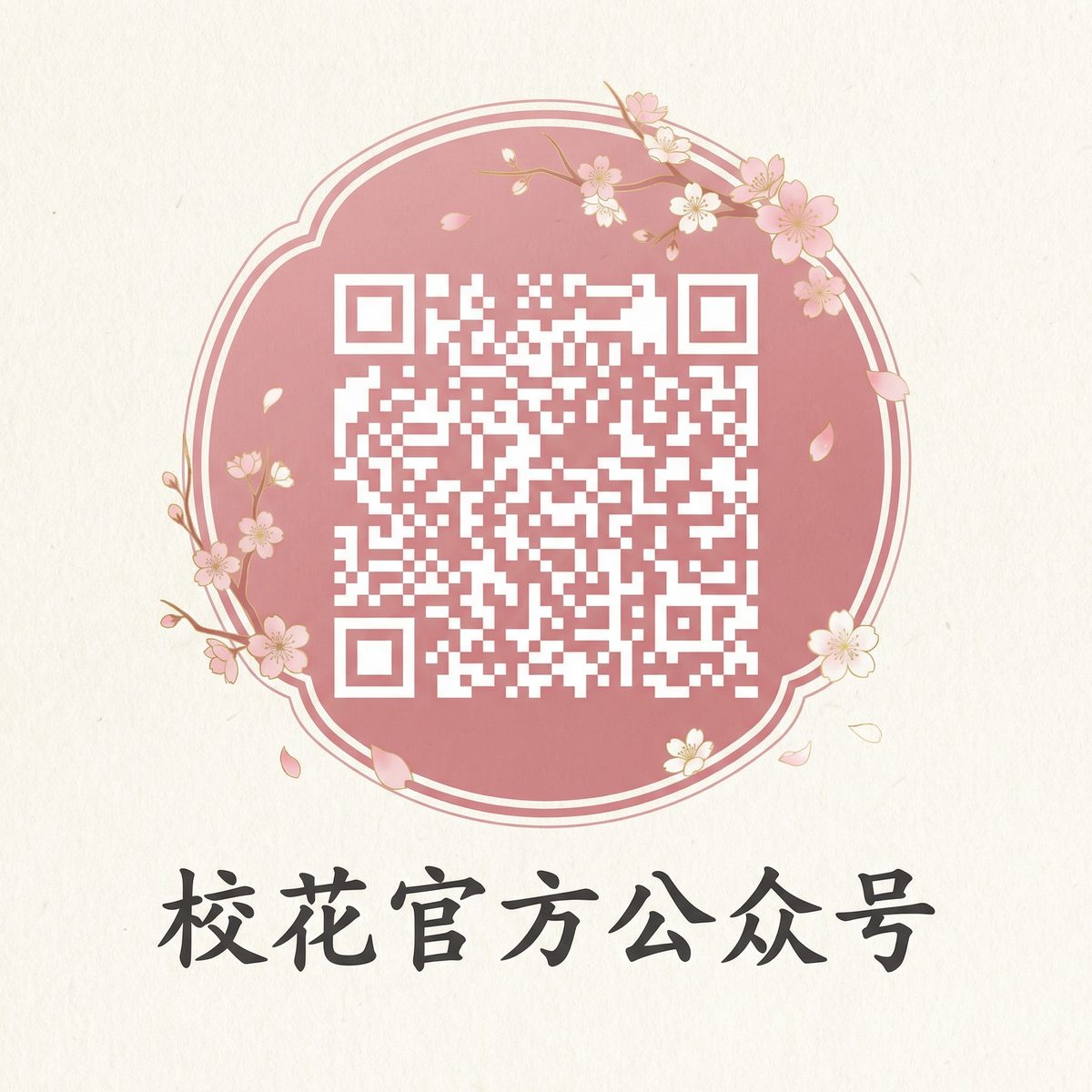 抖荫短视频传媒微信公众号二维码扫码关注